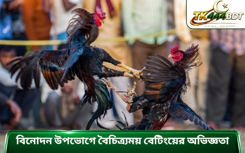 বিনোদন উপভোগে বৈচিত্র্যময় বেটিংয়ের অভিজ্ঞতা