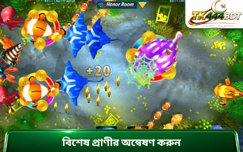 বিশেষ প্রাণীর অন্বেষণ করুন