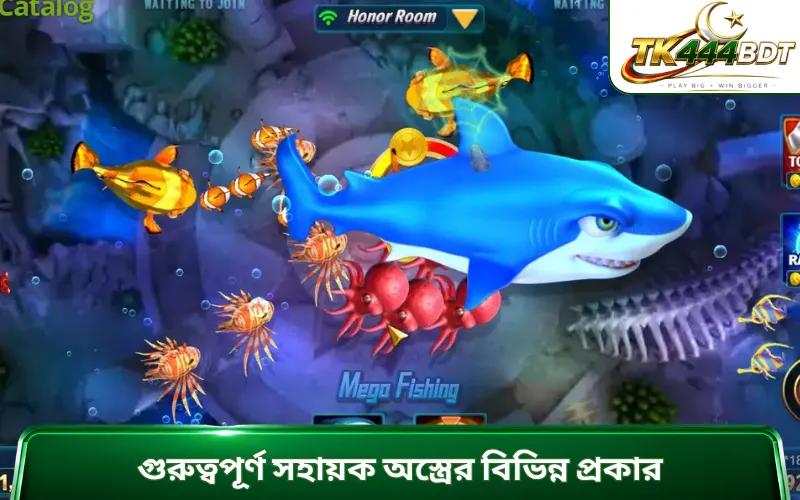 গুরুত্বপূর্ণ সহায়ক অস্ত্রের বিভিন্ন প্রকার